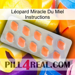 Léopard Miracle Du Miel Instructions 26